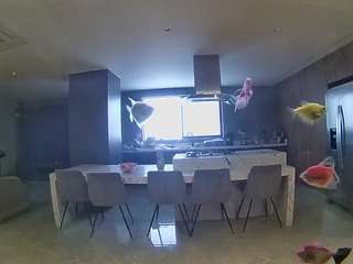 voyeurcam-casa-salsa-fishtank