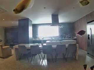 voyeurcam-casa-salsa-fishtank