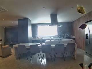 voyeurcam-casa-salsa-fishtank
