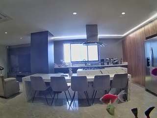 voyeurcam-casa-salsa-fishtank