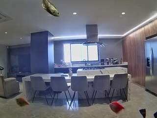 voyeurcam-casa-salsa-fishtank