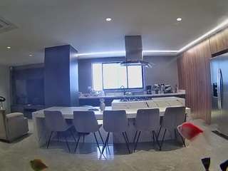 voyeurcam-casa-salsa-fishtank