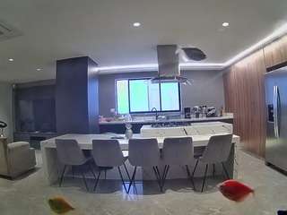 voyeurcam-casa-salsa-fishtank