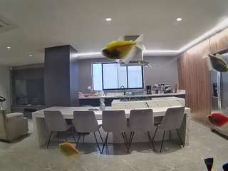 voyeurcam-casa-salsa-fishtank