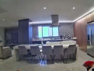 voyeurcam-casa-salsa-fishtank