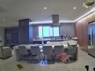 voyeurcam-casa-salsa-fishtank