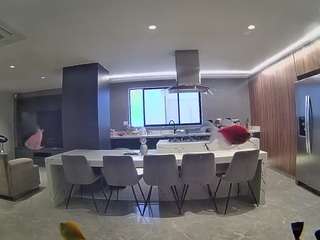 voyeurcam-casa-salsa-fishtank