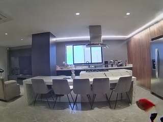 voyeurcam-casa-salsa-fishtank