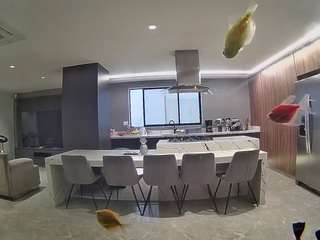 voyeurcam-casa-salsa-fishtank