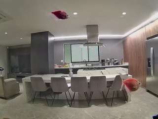 voyeurcam-casa-salsa-fishtank