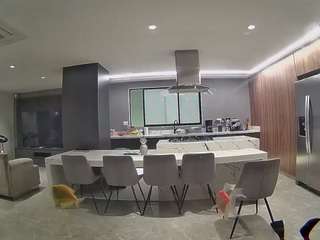 voyeurcam-casa-salsa-fishtank