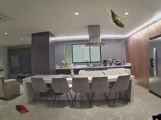 voyeurcam-casa-salsa-fishtank