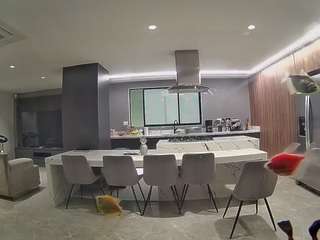 voyeurcam-casa-salsa-fishtank
