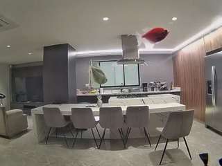 voyeurcam-casa-salsa-fishtank