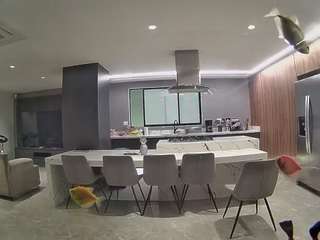 voyeurcam-casa-salsa-fishtank