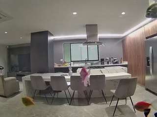 voyeurcam-casa-salsa-fishtank