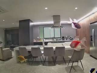 voyeurcam-casa-salsa-fishtank
