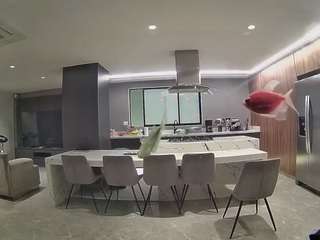 voyeurcam-casa-salsa-fishtank
