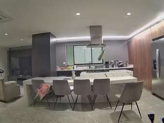 voyeurcam-casa-salsa-fishtank
