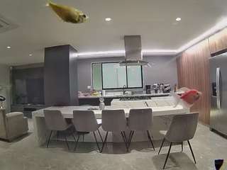 voyeurcam-casa-salsa-fishtank