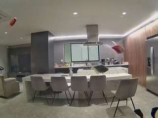 voyeurcam-casa-salsa-fishtank