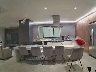 voyeurcam-casa-salsa-fishtank
