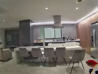 voyeurcam-casa-salsa-fishtank