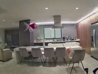 voyeurcam-casa-salsa-fishtank