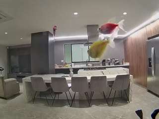 voyeurcam-casa-salsa-fishtank camsoda