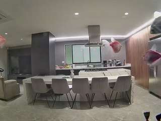 voyeurcam-casa-salsa-fishtank