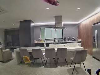 voyeurcam-casa-salsa-fishtank