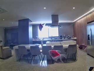 voyeurcam-casa-salsa-fishtank