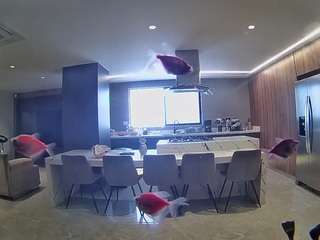 voyeurcam-casa-salsa-fishtank