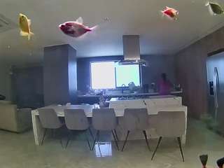 voyeurcam-casa-salsa-fishtank