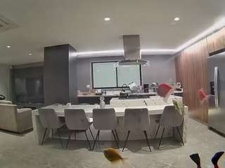 voyeurcam-casa-salsa-fishtank