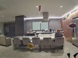 voyeurcam-casa-salsa-fishtank