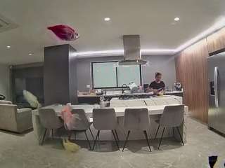 voyeurcam-casa-salsa-fishtank