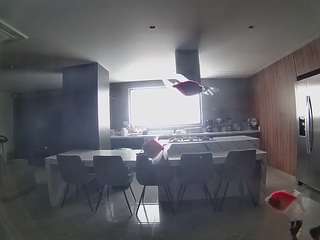 voyeurcam-casa-salsa-fishtank