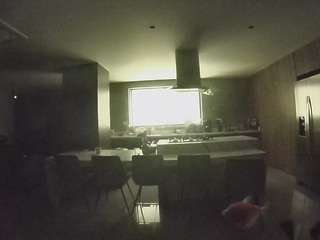 voyeurcam-casa-salsa-fishtank