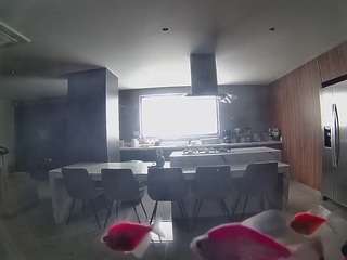 voyeurcam-casa-salsa-fishtank