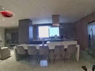 voyeurcam-casa-salsa-fishtank