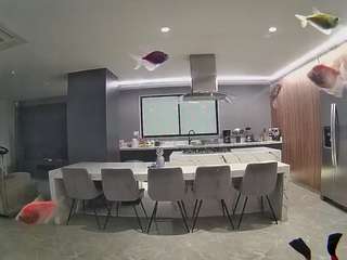 voyeurcam-casa-salsa-fishtank