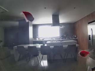 voyeurcam-casa-salsa-fishtank