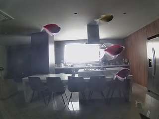 voyeurcam-casa-salsa-fishtank