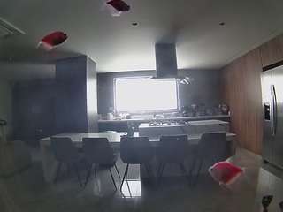 voyeurcam-casa-salsa-fishtank