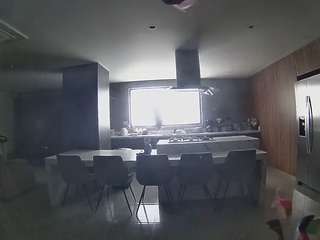 voyeurcam-casa-salsa-fishtank