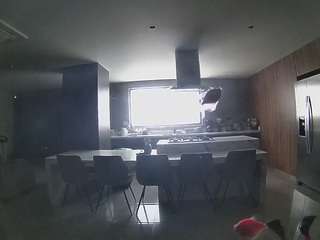 voyeurcam-casa-salsa-fishtank