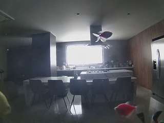 voyeurcam-casa-salsa-fishtank