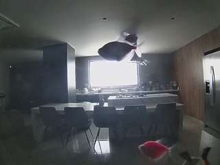 voyeurcam-casa-salsa-fishtank