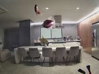 voyeurcam-casa-salsa-fishtank